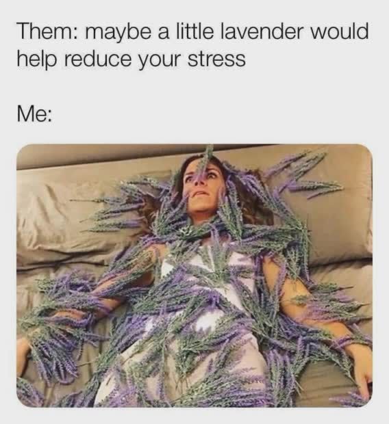 lavender meem.JPEG