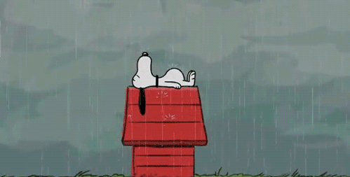 funny-gifs-animated-gifs-best-gifs-people-who-love-rain-snoopy.gif